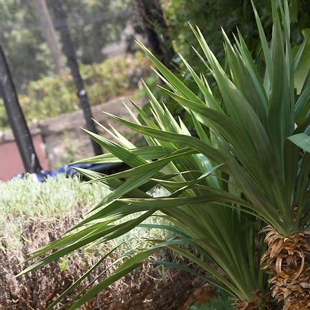גורני קרין Apartments Mond מראה חיצוני תמונה